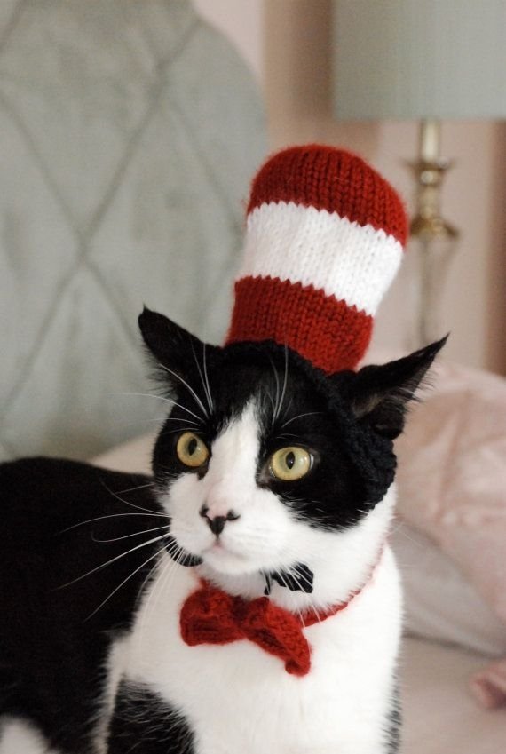 Cat-In-The-Hat-Halloween-Costume-for-your-Cat
