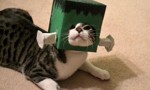 Frankenstein-Cat-Halloween-Costume
