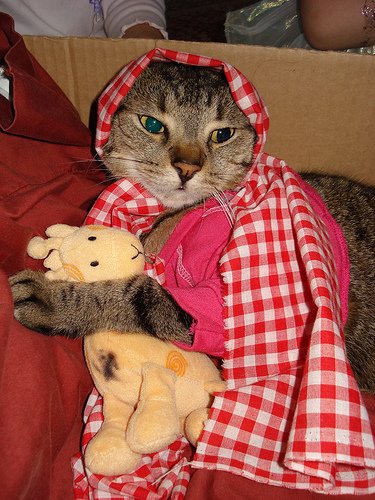 Little-Red-Riding-Hood-Cat-Halloween-Cat-Costume