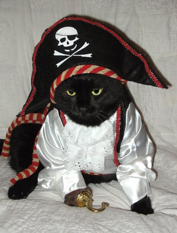 Pirate-Cat-Halloween-Costume