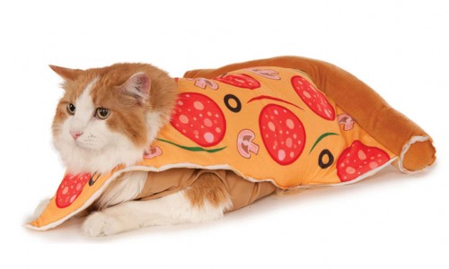 pizza-cat-halloween-costume