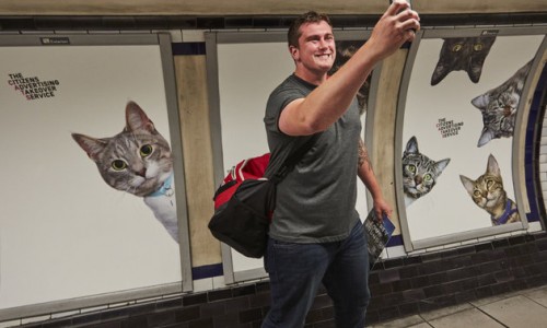 The Citizens Advertising Takeover Service replaced 68 adverts in Clapham Common tube station with pictures of cats. Organisers say they hope the pictures will help people think differently about the world around them. Credit: CatsnotAds.org