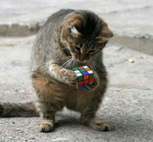 rubix cube