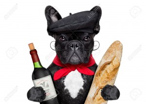 28347696-french-bulldog-with-red-wine-and-baguette-and-french-hat-Stock-Photo