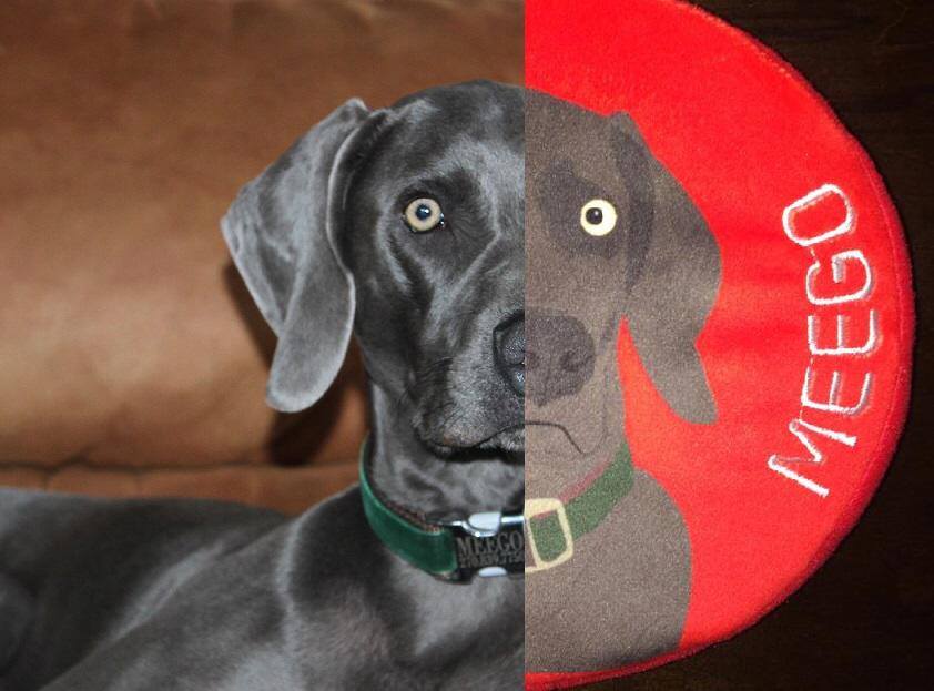 personalized dog toys