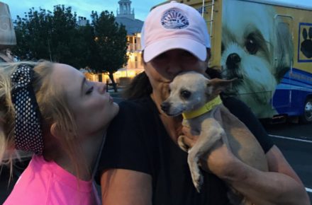 Miranda Lambert Saves Dozens Of Dogs Stranded During Hurricane Harvey