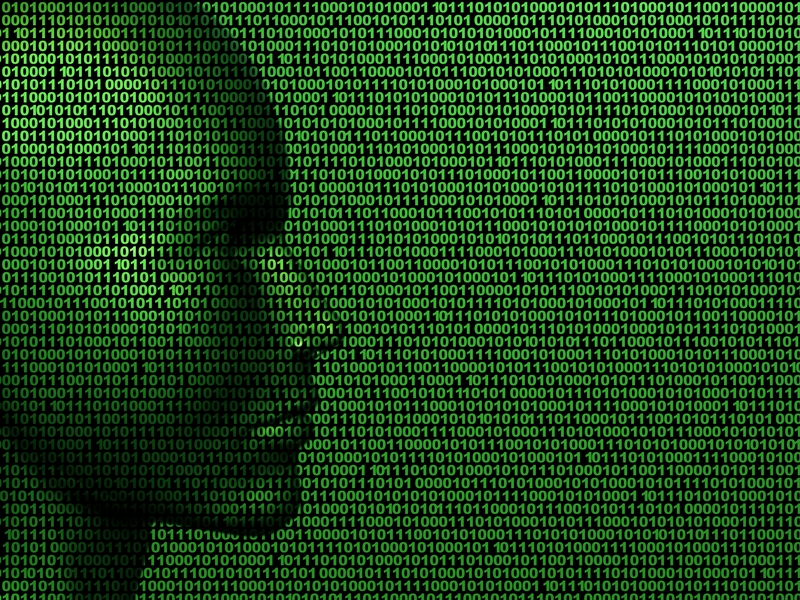 Robo Advisors