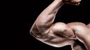 Arm Annihilation: Lay waste to your biceps and triceps with this multi-benefit complete arm routine!: