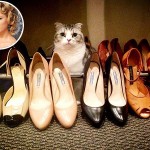 Taylor Swift's most stable relationship may be with her cat, Meredith. Not a bad thing... she has great taste in shoes.