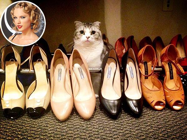 Taylor Swift’s most stable relationship may be with her cat, Meredith. Not a bad thing… she has great taste in shoes.