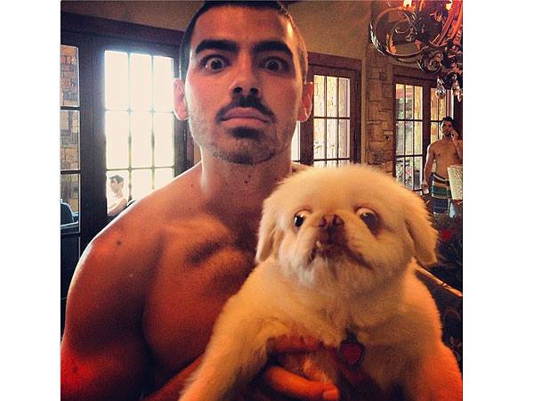 Joe Jonas snaps a pic with his bug-eyed pooch friend. I love this dog so much…