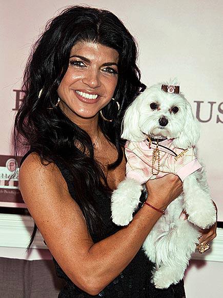 ‘The Real Housewives of New Jersey’ stars Joe and Teresa Giudice are facing 39 counts of federal fraud charges and tax evasion. Joe might be…