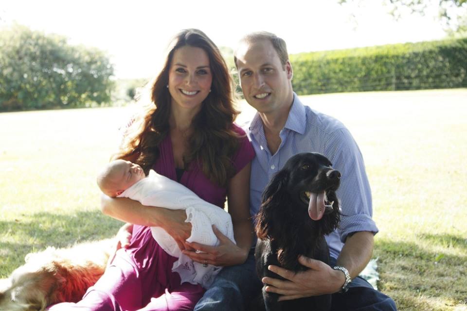 Loving the first official portrait of Prince William, Duchess Kate,  Prince George, and their dog Lupo! This casual photo was snapped by…