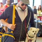 Channing Tatum and his pup, Meeka, hit the friendly skies. Big man, little dog... extra sweetness.