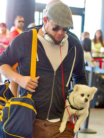 Channing Tatum and his pup, Meeka, hit the friendly skies. Big man, little dog… extra sweetness.