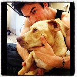 Ian Somerhalder has a new lady in his life, a pup named Nietzsche. Ian saved his new friend from the streets near the 'Vampire Diaries' set....