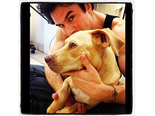 Ian Somerhalder has a new lady in his life, a pup named Nietzsche. Ian saved his new friend from the streets near the ‘Vampire Diaries’ set….