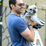 Hugh Jackman's French Bulldog, Dali, is absolutely amazing. Look at that grin!