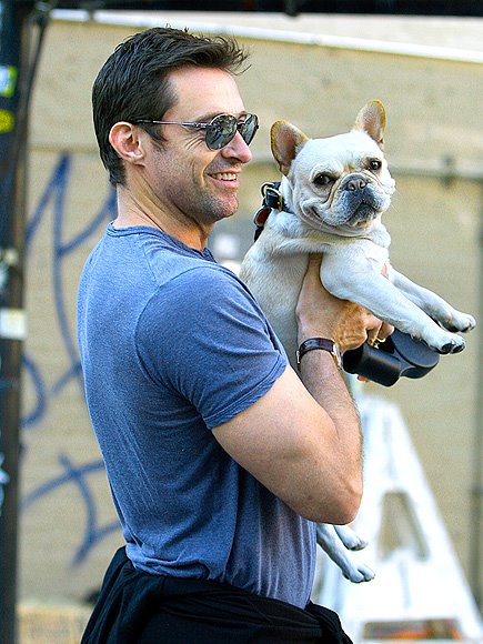 Hugh Jackman’s French Bulldog, Dali, is absolutely amazing. Look at that grin!