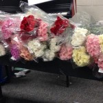 Boy Gives a Carnation to Every Girl at Utah High School