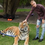 Justin Bieber with tiger