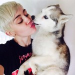 Miley Cyrus' Broken Heart Cannot Love Puppy