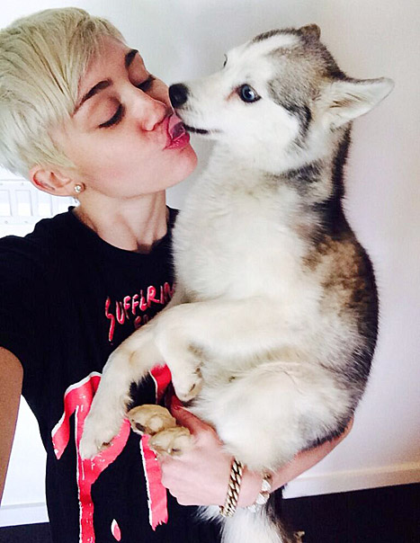 Miley Cyrus’ Broken Heart Cannot Love Puppy