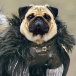 Game of Thrones: Pugs of the 7 Kingdoms!