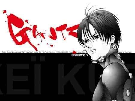 Hiroya Oku, author of the manga Gantz, is drawing a new manga called Inu Yashiki  that will be released Janurary 28.