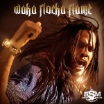 Waka Flocka Flame Remixes 