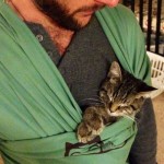 This cute kitten is teaching his human how to be a dad for his soon to be born baby. The kitty falls asleep during training.....#adorable