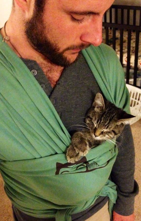 This cute kitten is teaching his human how to be a dad for his soon to be born baby. The kitty falls asleep during training…..#adorable