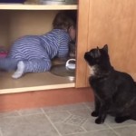 Cat is tired of this Toddler