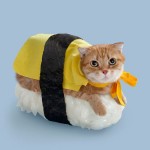 Top 25 Cat Halloween Costumes