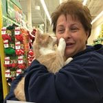 Adorable Kitten Saved by No-Kill Rescue Center