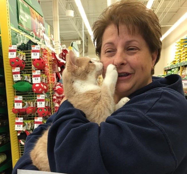 Adorable Kitten Saved by No-Kill Rescue Center