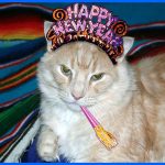 Adorable Cats Excited to Celebrate New Years Eve