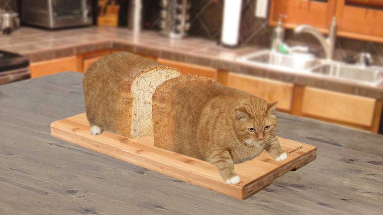 Cats Who Look Like Bread. 