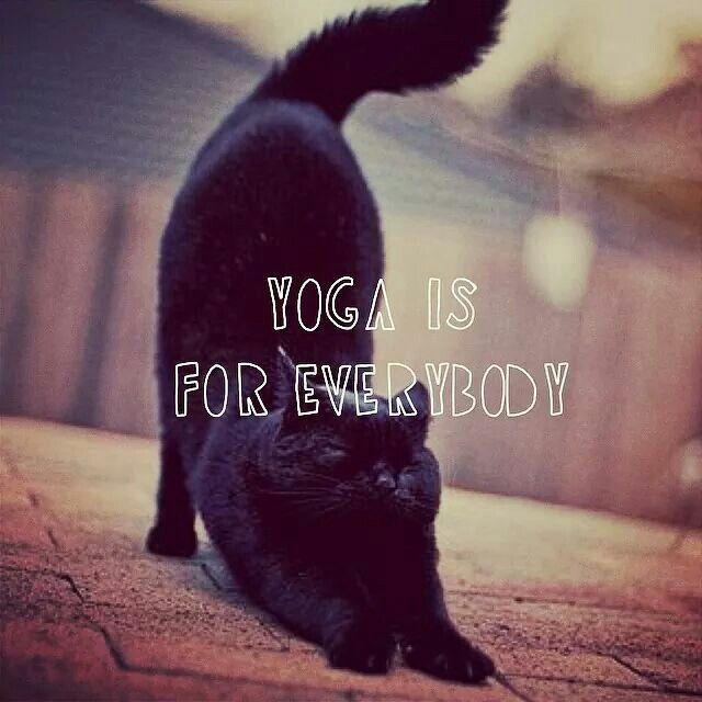 yoga