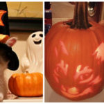 Cat Pumpkin Carving