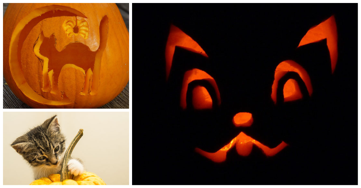 Cat Pumpkin Carving