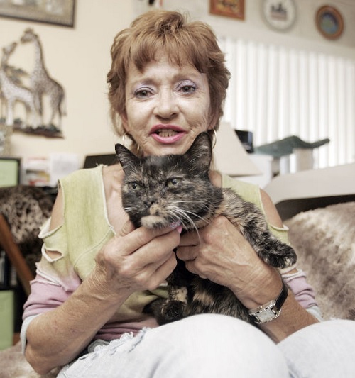 Shortest Living Domestic Cat Owner
