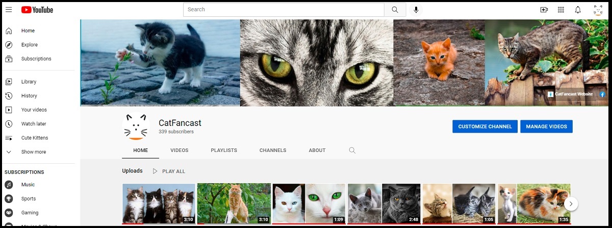 CatFancast YouTube Channel