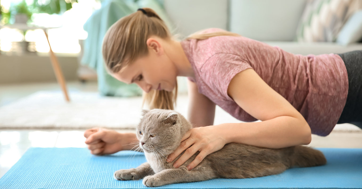 Cats and Yoga