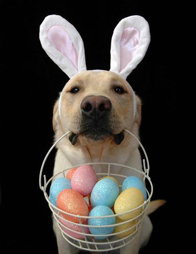 Who wants an egg?  Happy Easter!!!!