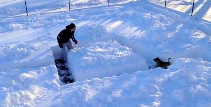 Hours of fun to be had……a snow maze, person hiding…and a keen dog :)