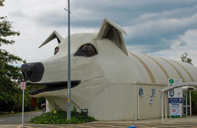 Here’s a strange one for your Saturday! In the small town of Tirau, New Zealand, there is a GIANT dog-shaped building! Check it OUT!