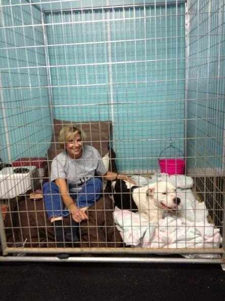 Paula Sparrow of Louisville, KY went above and beyond to prove her compassion for shelter animals. This past weekend, she spent 48 hours