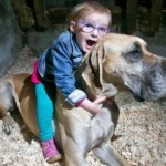 Although Charlie, a two-year-old Great Dane, wasn't trained as a service dog, he has taken on the responsibility to serve Brianna, the