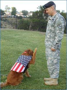 Soldier credits Surf dog Ricochet, the SURFice dog!
with saving his life